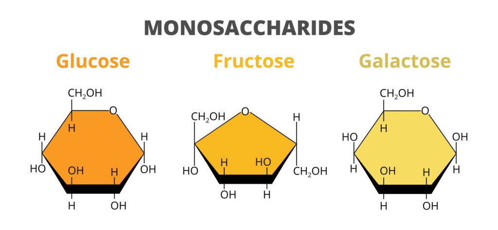 Galactose